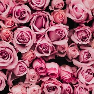 Meet your Posher, Laurie